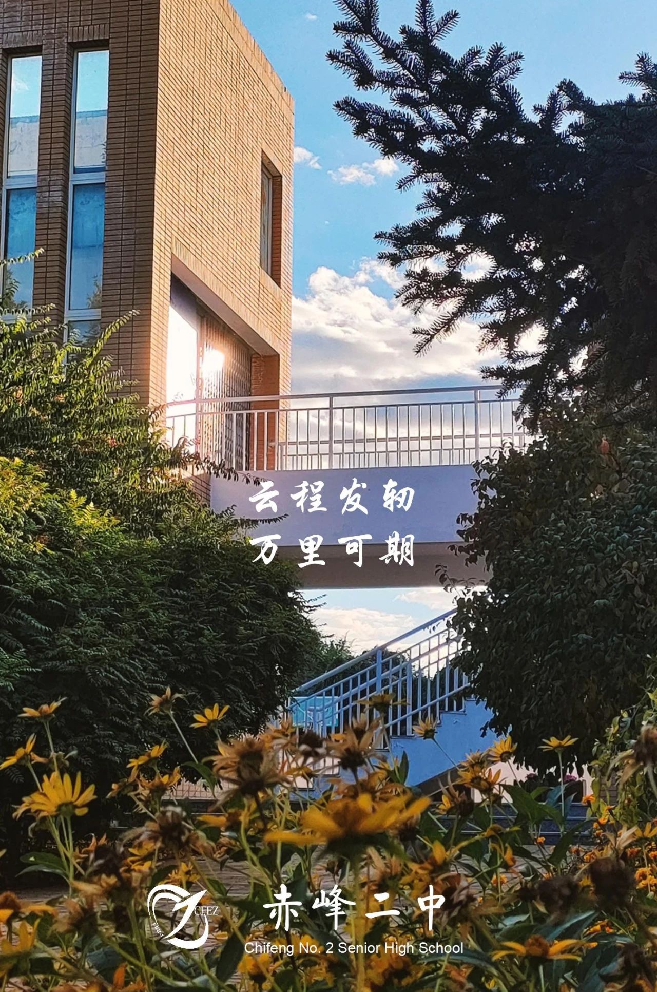 4a2d21e3bbb2eeec1b7d25c07fc208e3.jpg
